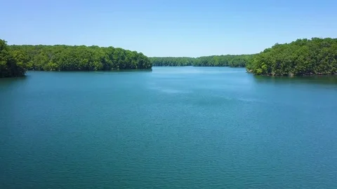 Green forest and river on a sunny day 库存影片 83689344
