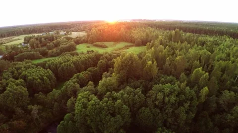 Green forest and rivers. Sunset. Aerial footage Stock Footage