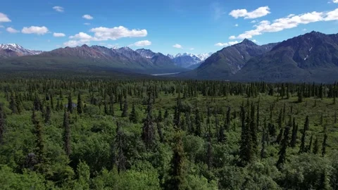 Green Forest and Snowy Mountains in Rural Alaska Stock Footage 217849216