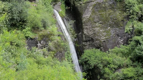 Green forest and waterfall in the moss rock Stock Footage 94553192