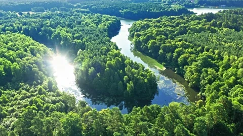 Green forest and winding river at sunrise, Poland, aerial view Stock Footage 171311268