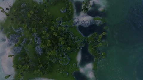 Green forest background Stock Footage 116107759