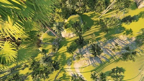 Green forest background Stock Footage 116107824