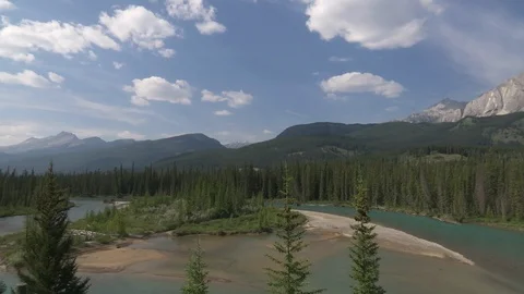 Green forest with beautiful mountains and lake on a sunny day Stock Footage 99080783