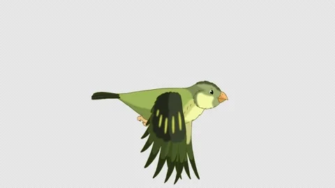 Green forest bird flies alpha matte 4K Stock Footage 203806380