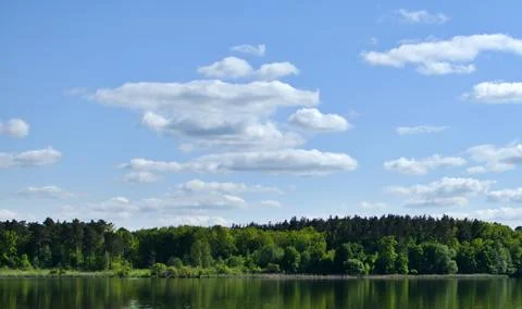 Green forest with blurred reflection in river Stock Photos
