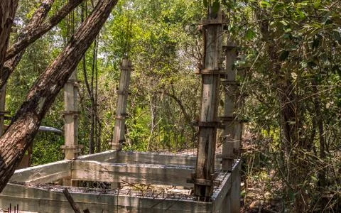 Green forest bridge under construction Stock Photos