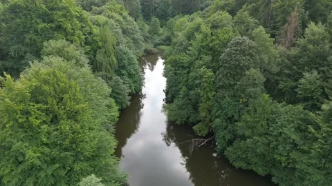 Green Forest Canopy And River Bend In Germany Vídeos de archivo 339367537