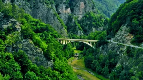 Green Forest Canyon With Stone Bridge Stock Footage 322828628