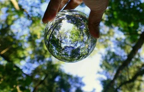 The green forest captured through a crystal lens ball Stock Photos