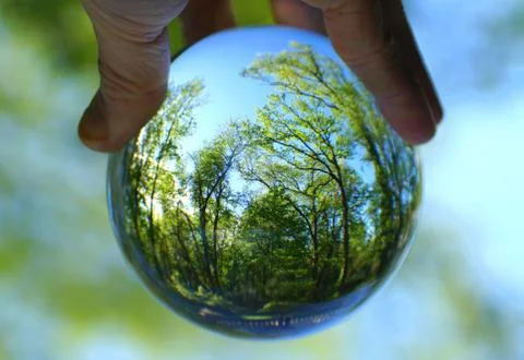 The green forest captured through a crystal lens ball Stock Photos