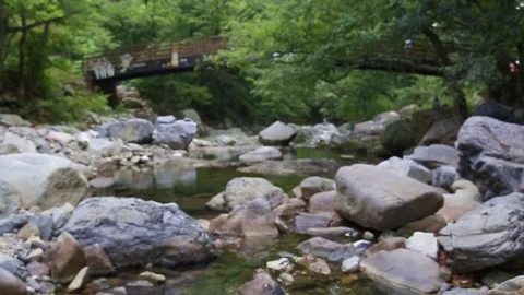 A green forest with clear valleys Stock Footage 284810643
