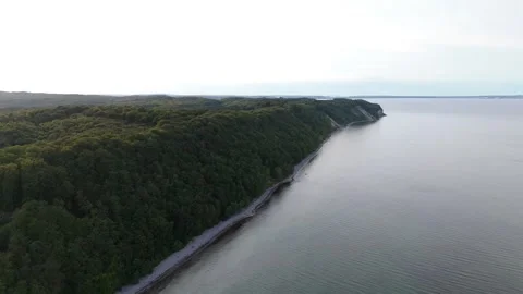 Green Forest Cliffs on the Baltic Coast Near Sellin Aerial View Vidéo 346057653