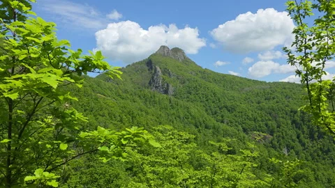 Green forest cloaks a mountain peak beneath a vivid blue sky dotted with white Video stock 336180779
