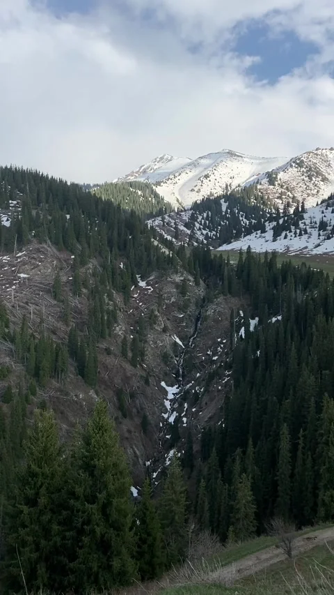 Green forest covers a mountain valley with snowy peaks beneath cloudy sky. Mount Stock Footage 338001674