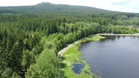 Green forest with dense conifer trees at Milovsky Pond in Protected landscape Stock Footage 246642697