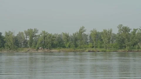 Green forest on the distant river bank under cloudy sky Stock Footage 337753326