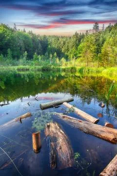 Green forest, dramatic sky, meadow and reflection in water of Cranberry or De Stock Photos