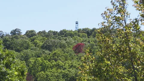 Green Forest With Fire Tower On Devil’s Knob In The Arkansas Ozark Mountains - Stock Footage 328071162