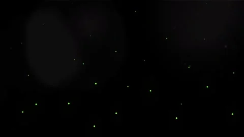 Green Forest Firefly Glowing Particles Vídeos de archivo 334624968