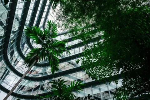 Green forest in future building Foto stock