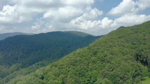 Green forest on a hill against a cloudy sky on a warm summer day. Stock Footage 146914448