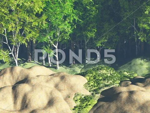 Green forest Ilustração Stock