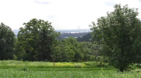 Green Forest Kiev Stock Footage 46163371