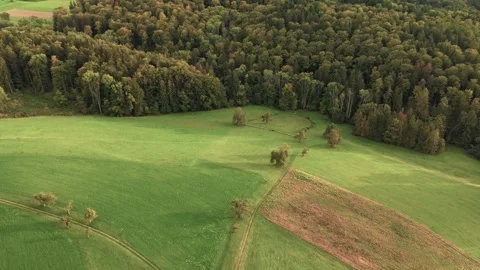 Green Forest with Lake of Constance in the Background Video stock 287503816