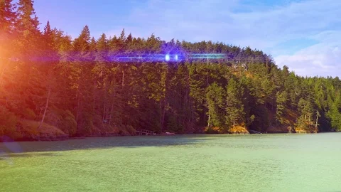 Green Forest Lake Landscape, Setting Sun Natural Landscape Stock Footage 84950107