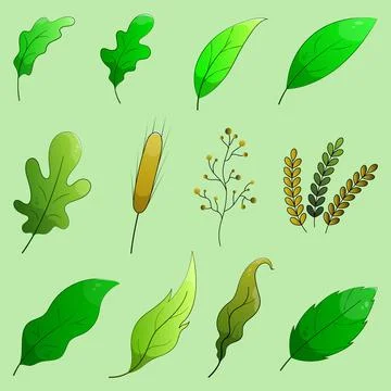 Green forest leaf set. Stock Illustration