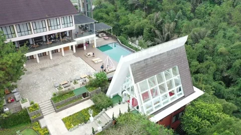 Green Forest Lembang Stock Footage 201905147