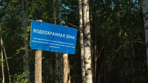 Green forest with lots of coniferous and deciduous trees. Stock Footage 160897121