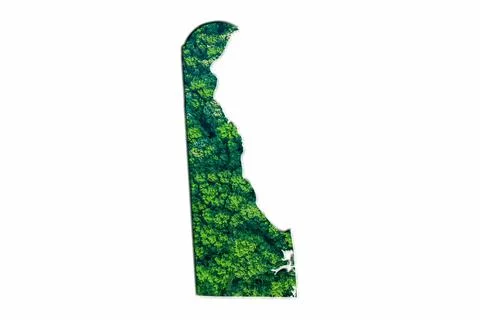 Green Forest Map of Delaware 스톡 일러스트