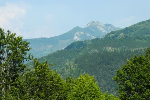 Green forest mountain range landscape under blue sky view Stock Photos