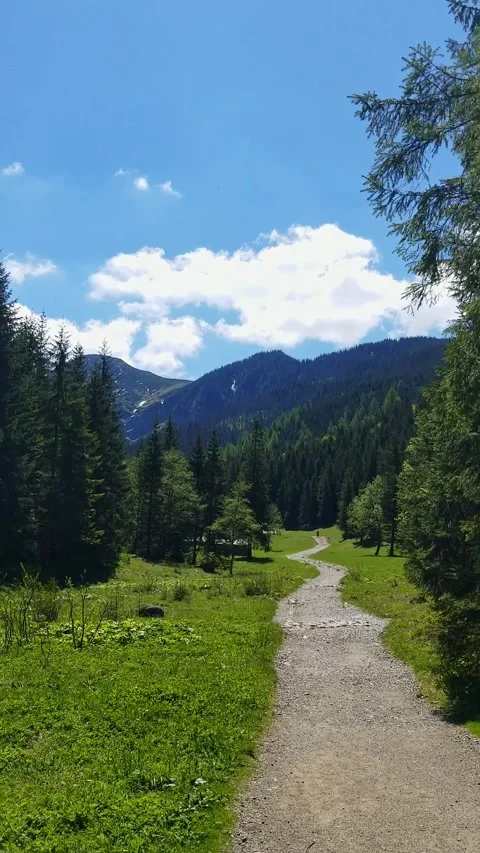 Green forest mountains and hiking trail in Tatra National Park Zakopane Poland Stock Footage 338353232