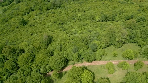Green forest on the mountains. Drone flies over the tops of trees. Drone video Stock Footage 257181458