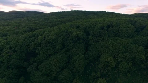 Green forest in the mountains Video stock 128986772