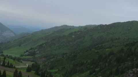 Green forest mountains serene view Stock Footage 320993151