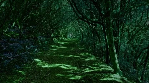 Green forest nature Video stock 274415382