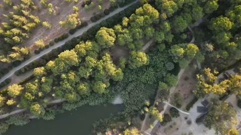 Green forest park clip Video stock 149158259