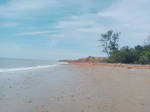 Green Forest Stock Photos