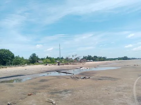 Green Forest Stock Photos