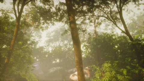 Green forest with ray of light 库存插图