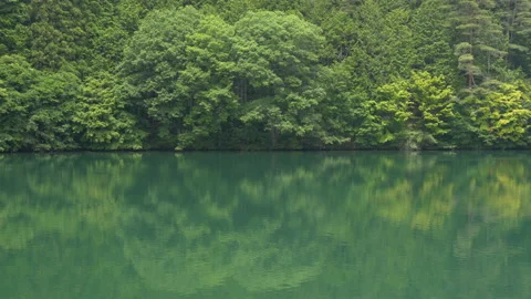 Green Forest Reflected in a Green Lake in Summer (Panning) 스톡 동영상 204768288
