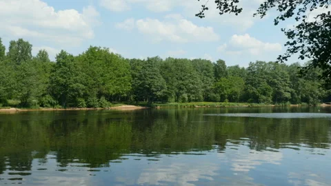 Green forest is reflected in the river panorama Stock Footage 117605531