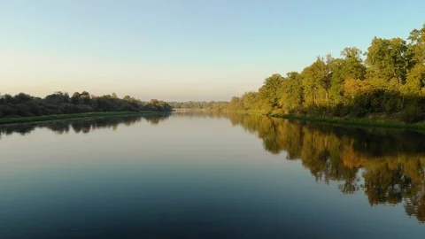 The green forest is reflected in the water, the beauty of nature. Combination of 動画素材 123635559