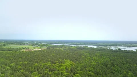 Green forest with a river in the distance Stock Footage 317687307