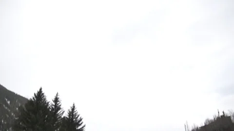 Green forest with a river during winter Stock Footage 84505577