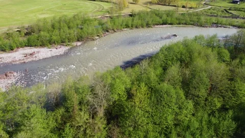 Green forest by the river Video stock 193478699